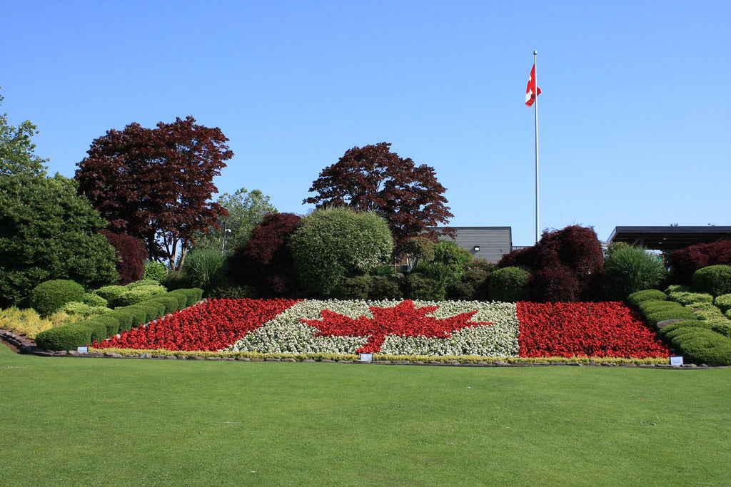Steveston Fisherman's Wharf Tour - Vancouver One Day Tour