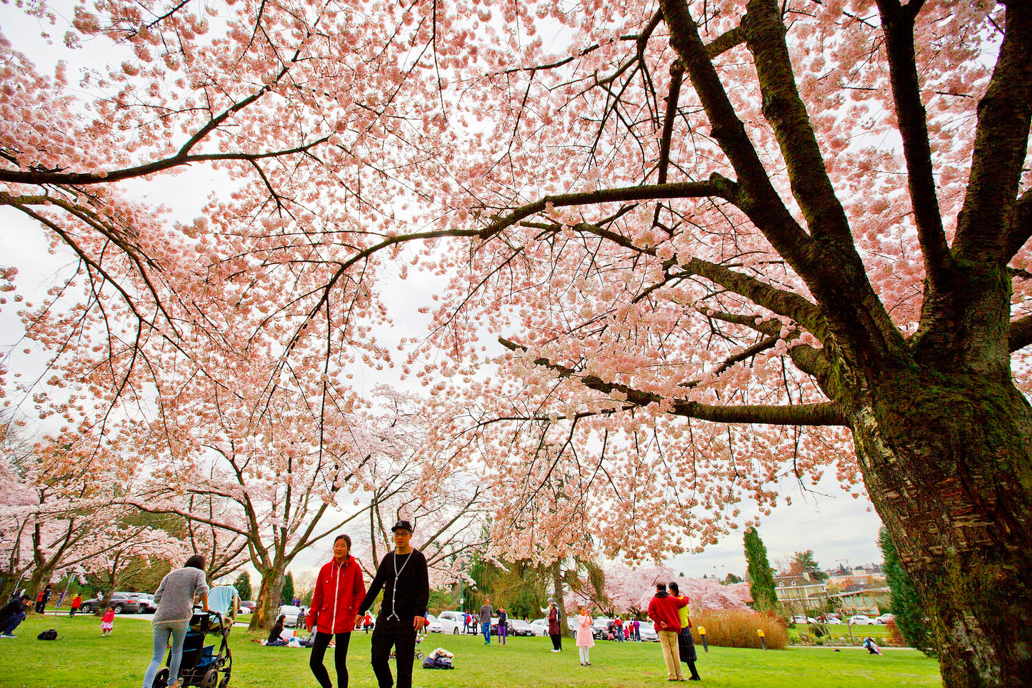 Queens Elizabeth Park Tour - Vancouver One Day Tour